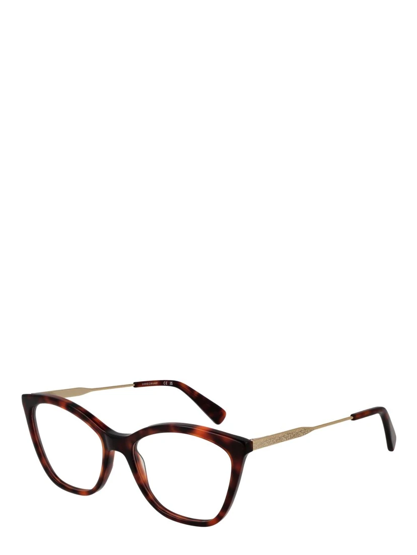 Brown Metal & Plastic Glasses (Frames)