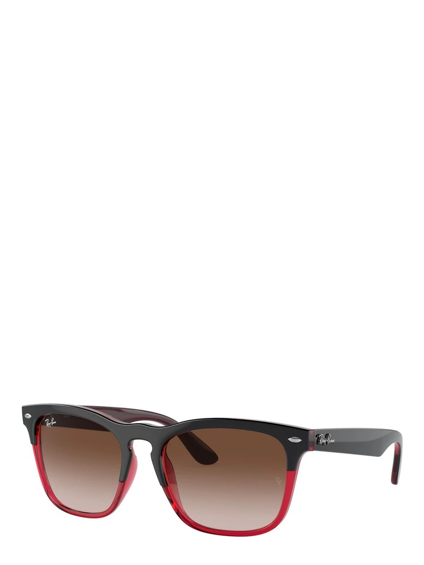 Multicolor Nylon Sunglasses