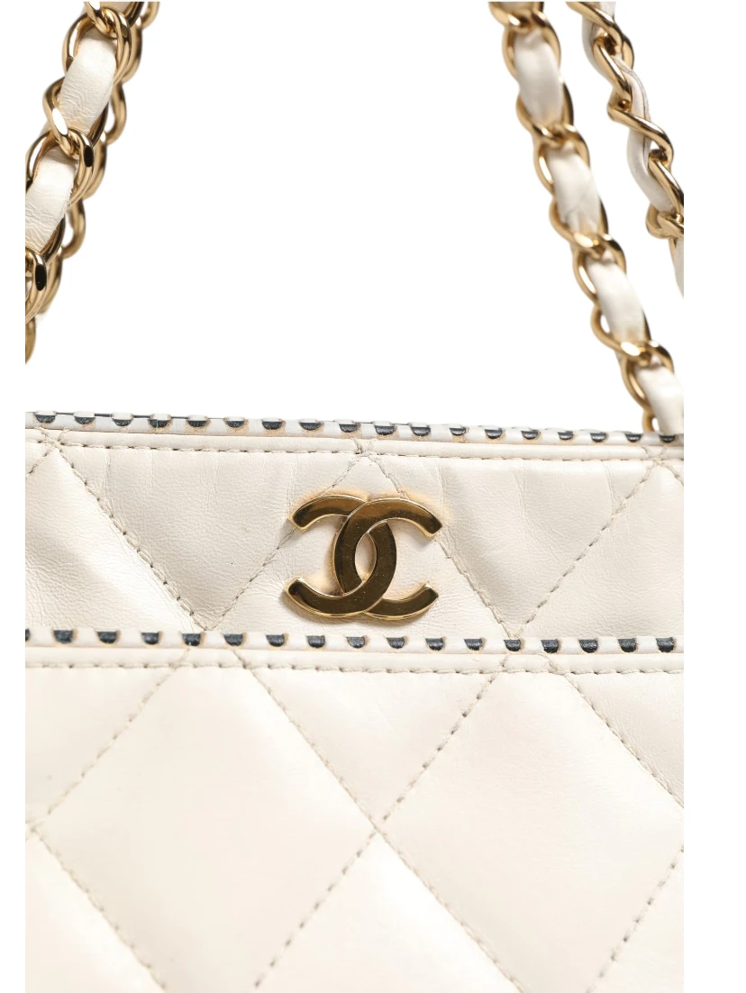 Shiny Calfskin Quilted Mini 22 White 1792563