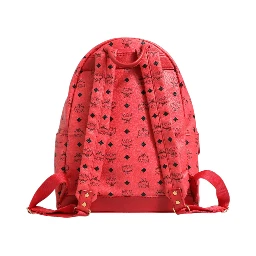 Visetos Backpack