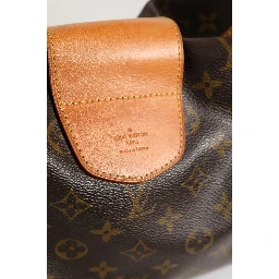 Monogram Canvas Stresa GM Bag